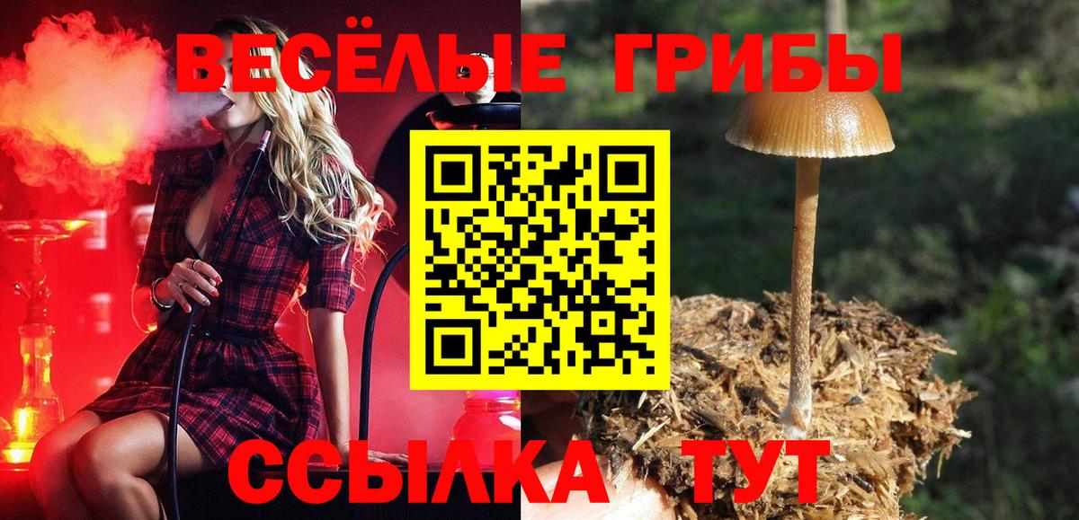 Галлюциногенные грибы ЛСД Сосновоборск