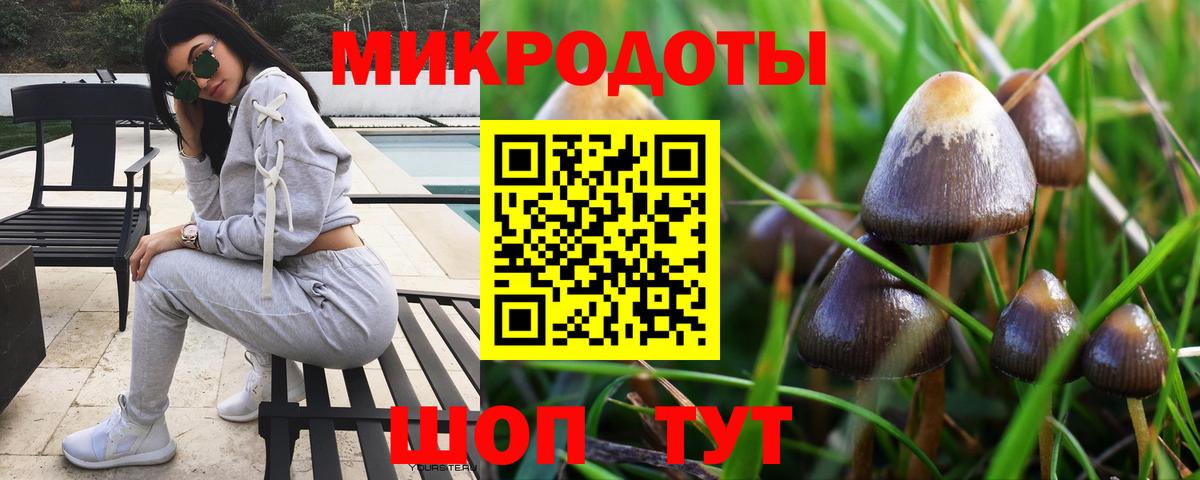 Галлюциногенные грибы мухоморы  Вход с VPN  Галлюциногенные грибы Cubensis  Сосновоборск 