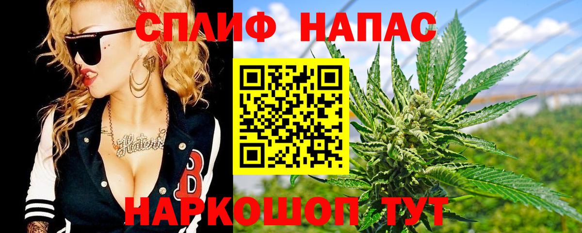 Бошки Шишки MAZAR Сосновоборск